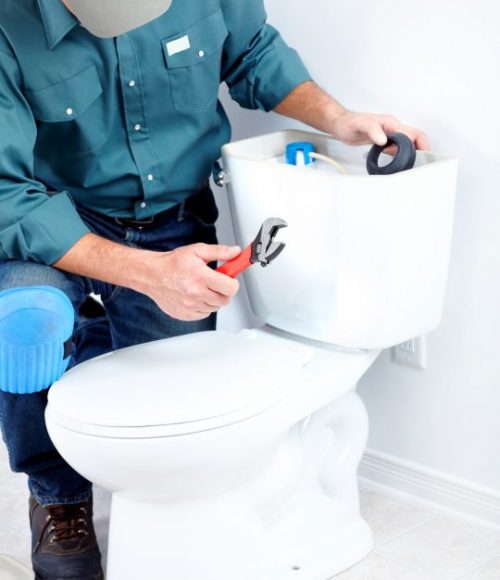 Plumber fixing a toilet in Narrabeen